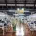 Colapso en Brasil: el gobierno admite que las muertes “sobrepasaron el límite del sentido común”
