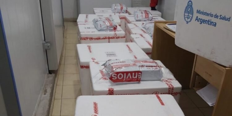 Llegaron 6000 dosis de la vacuna Sputnik V