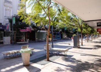 Miércoles feriado: cómo funcionarán los servicios