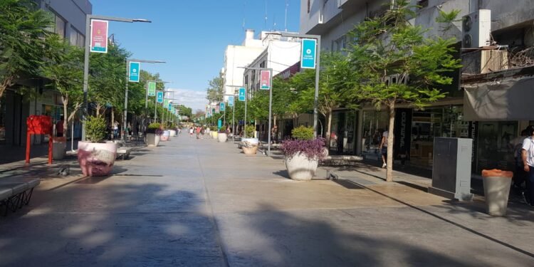 Escándalo en pleno centro: acosaban a una chica y detuvieron a uno, encima tenía droga