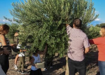 Semana Santa: el turismo dejó en San Juan más de $200 millones