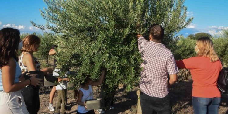 Semana Santa: el turismo dejó en San Juan más de $200 millones