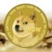 Dogecoin, la criptomoneda meme, vale más que las reservas del Banco Central