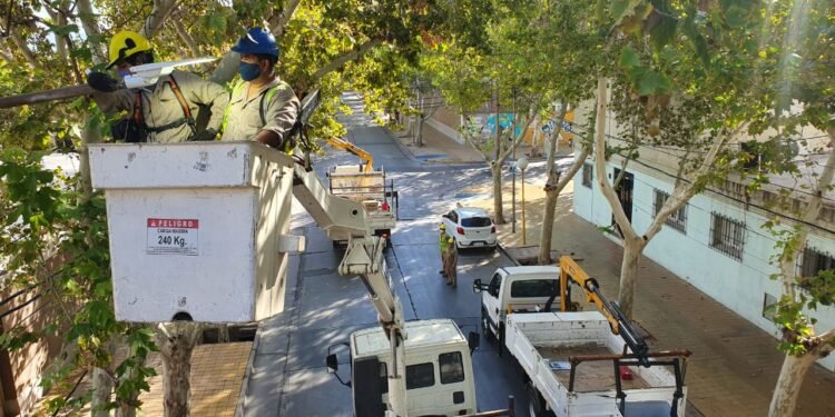 Capital: intenso operativo de bacheo e iluminación en el fin de semana