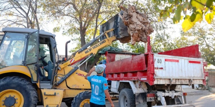 Abordaje integral de limpieza en Capital