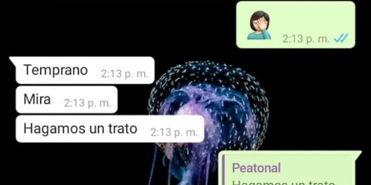 Buscaba trabajo por Facebook y le ofrecieron el cargo con la condición de pasar una noche con el encargado