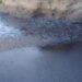 Alarmante: se secó el Dique de Jáchal y miles peces nadan en lodo