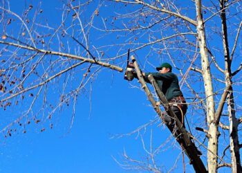 Un joven estaba podando y casi se mata: está fuera de peligro