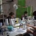 Los mayores de 60 años vacunados ya podrán volver a sus trabajos
