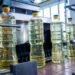 La ANMAT prohibió la comercialización de dos marcas de aceite y otros alimentos