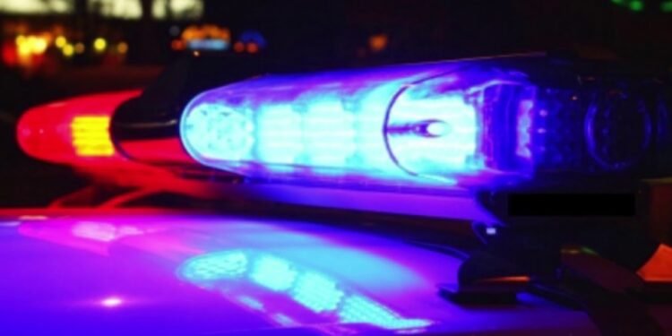 Se estrelló contra un árbol y murió en el acto