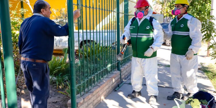 Capital fumiga en Concepción para controlar vectores