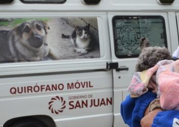 El tráiler de mascotas sigue recorriendo los departamentos