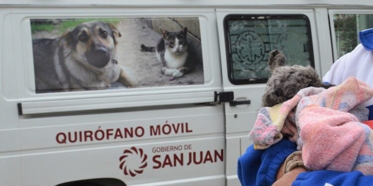 El tráiler de mascotas sigue recorriendo los departamentos