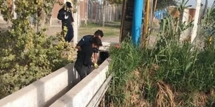 Maltrato animal: en Albardón, tiraron a un perro al canal con un bloque de cemento atado al cuello