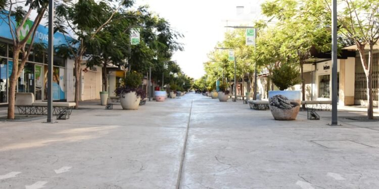 Nuevas medidas: las actividades que se vuelven a habilitar