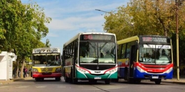 El Servicio De Transporte Público Funciona Con Normalidad Resumen Argentino 6175