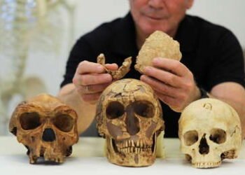 Nueva especie de hombre prehistórico descubierta en Israel