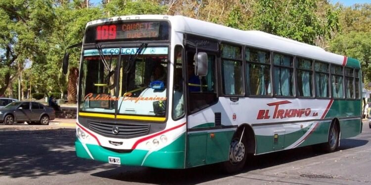 Video: un chofer de colectivo no le cobró escolar a un estudiante y fue escrachado