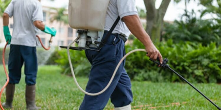 Detuvieron a dos «fumigadores» mendocinos en el centro de San Juan por marcar casas para robar