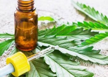 Cannabis medicinal en San Juan: comenzaron las convocatorias para las empresas