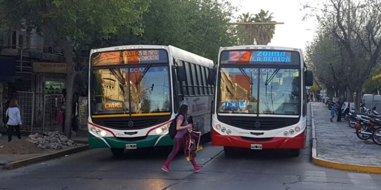 ¿Aumentará el boleto de colectivo? y ¿Qué pasará con la Red Tulum?