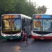 ¿Aumentará el boleto de colectivo? y ¿Qué pasará con la Red Tulum?