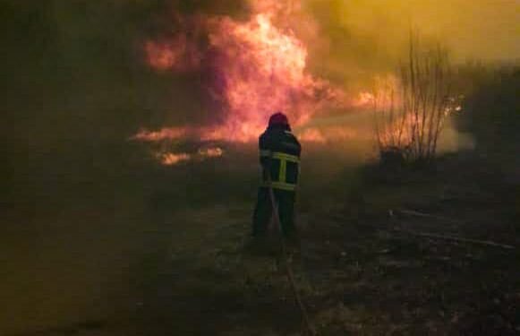Intenso trabajo de Bomberos y Protección Civil para sofocar los incendios avivados por el Zonda