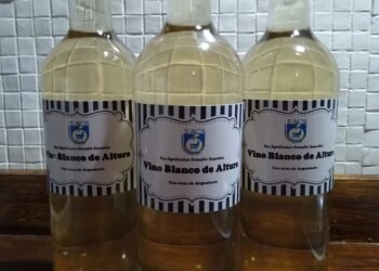 Un vino de una escuela agrotécnica fue premiado con medalla de plata en la Cata de Vinos