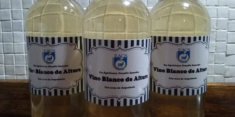 Un vino de una escuela agrotécnica fue premiado con medalla de plata en la Cata de Vinos