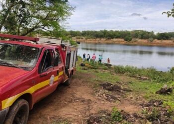Escapaba de un enjambre, se tiró al río y murió atacado por pirañas