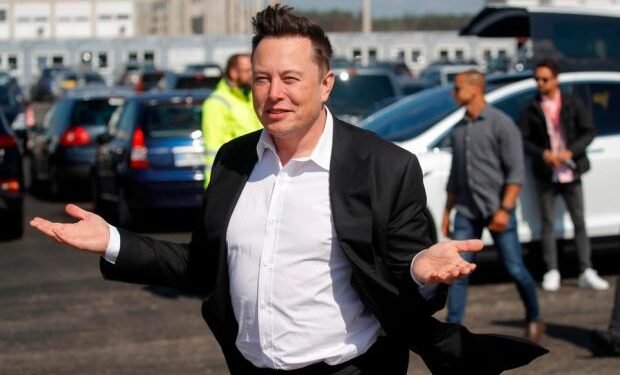 Elon Musk desafió a un combate a Vladimir Putin por el futuro de Ucrania