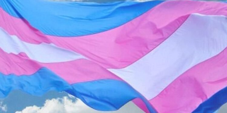 Día Internacional de la Visibilidad Transgénero: ¿por qué se conmemora hoy?