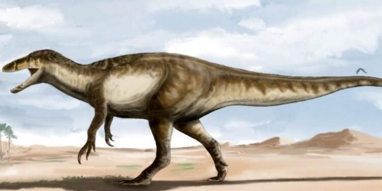 Santa Cruz: hallaron restos fósiles de un dinosaurio megaraptor