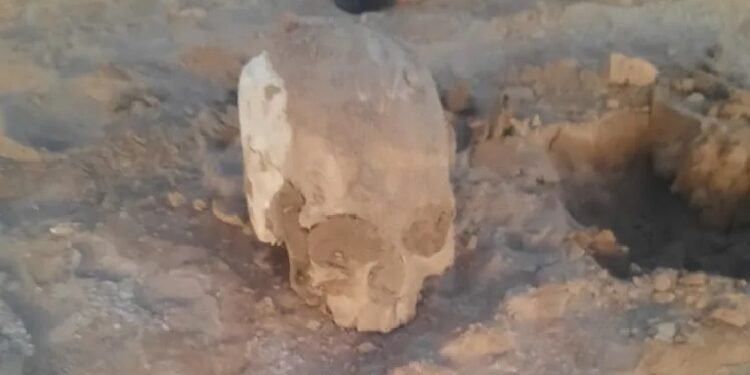 El cráneo hallado en el Dique de Ullum… ¿Podría ser de Tellechea?
