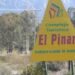 Denuncian que la municipalidad de Rivadavia tala árboles de manera indiscriminada en El Pinar