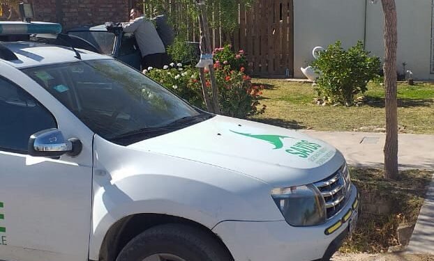 Perro atacó a censista y su propietario fue multado por equipo fiscalizador de Ambiente