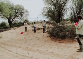 Técnicos del Ministerio de Ambiente de la Nación capacitaron a sus pares de la Provincia en bosques nativos