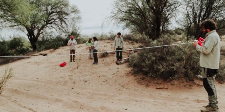 Técnicos del Ministerio de Ambiente de la Nación capacitaron a sus pares de la Provincia en bosques nativos