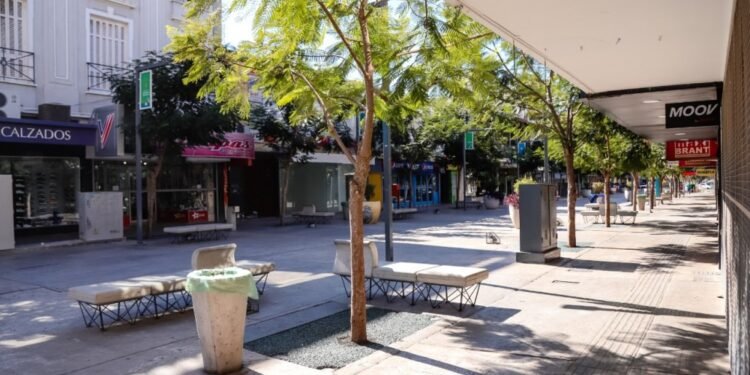 Así funcionarán los servicios por el feriado del miércoles