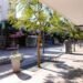 Así funcionarán los servicios por el feriado del miércoles