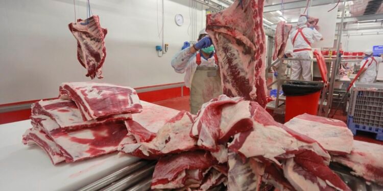 El consumo de carne debe reducirse en un 75% para mitigar el cambio climático