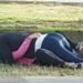 Se hizo viral un video «hot» de dos sanjuaninos en una conocida plaza de Capital