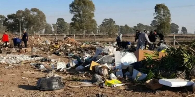 Revolvieron un basural y hallaron 50 mil dólares