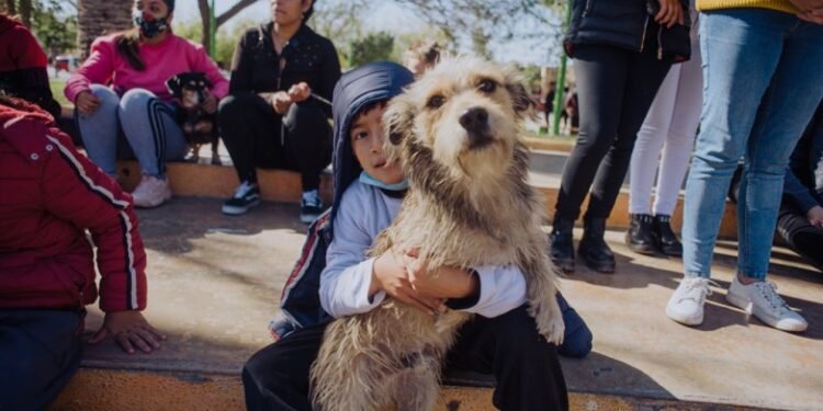 Acompañame: el quirófano de esterilización llega al barrio Camus