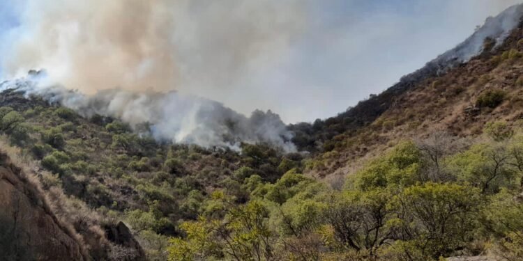 La lluvia ayudó para apagar el incendio en Valle Fértil