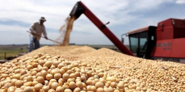 Las ventas diarias de soja continúan por encima del millón de toneladas, impulsadas por el «dólar soja»