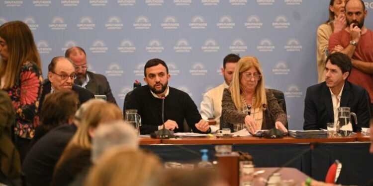 Se postergó hasta el jueves el dictamen del proyecto para proteger los humedales