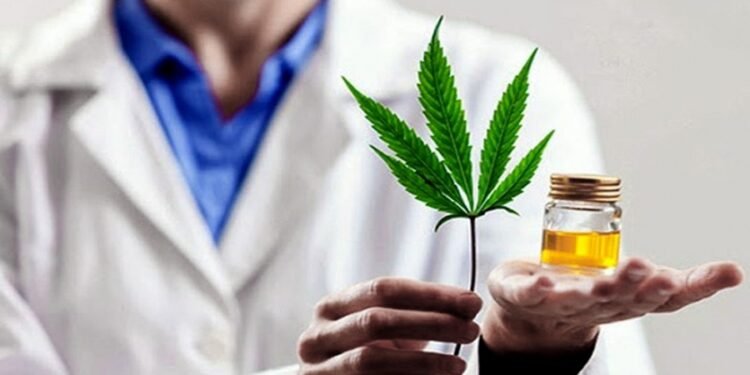 ANMAT habilitó la primera planta de producción de cannabis medicinal de Argentina