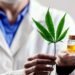 ANMAT habilitó la primera planta de producción de cannabis medicinal de Argentina